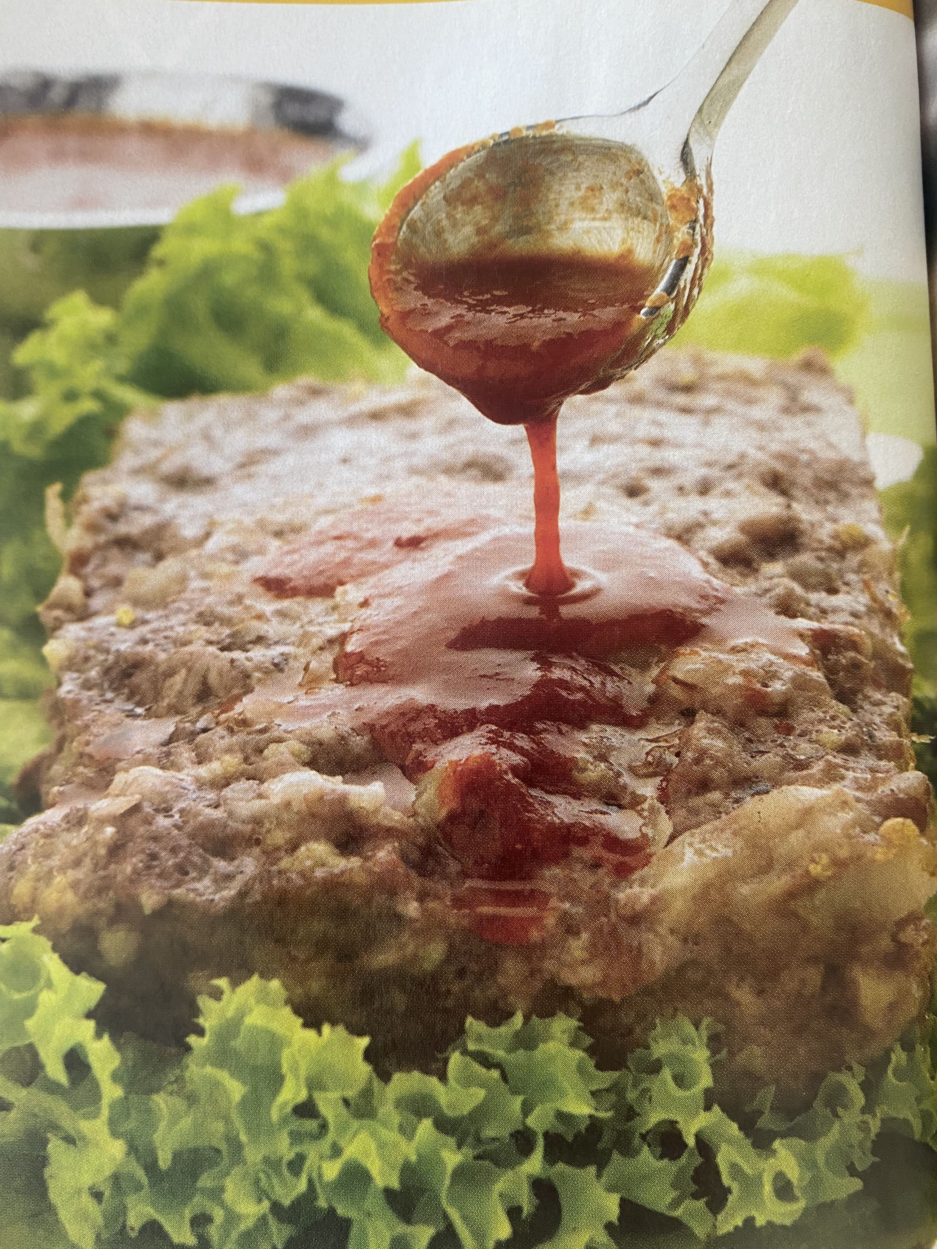 Panqué de carne salseado