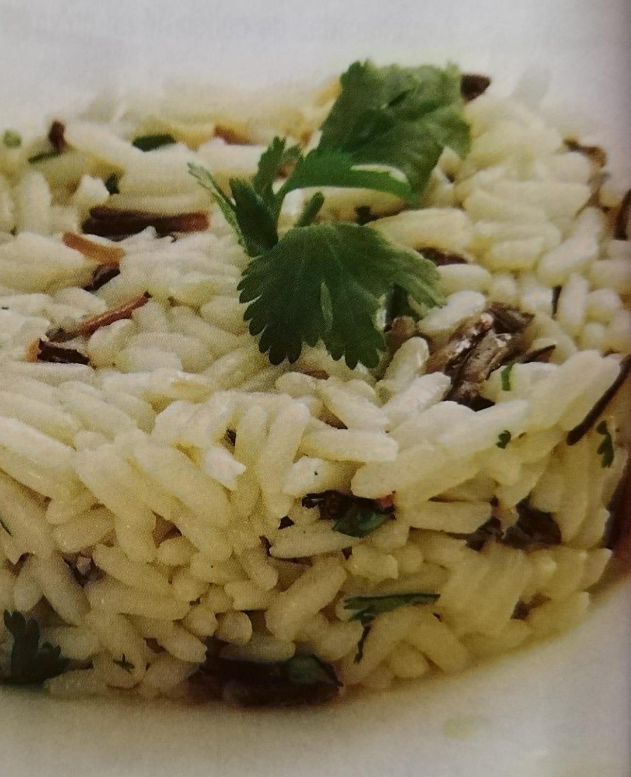 Ensalada de arroz silvestre